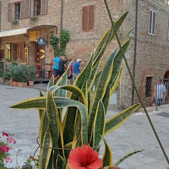 Casa Amuni' Monolocale A Pisa Free Parking Wifi Apartment