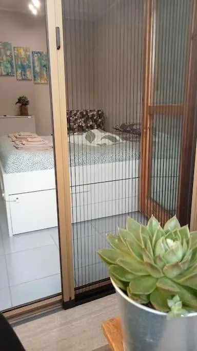 Casa Amuni' Monolocale A Pisa Free Parking Wifi Apartment